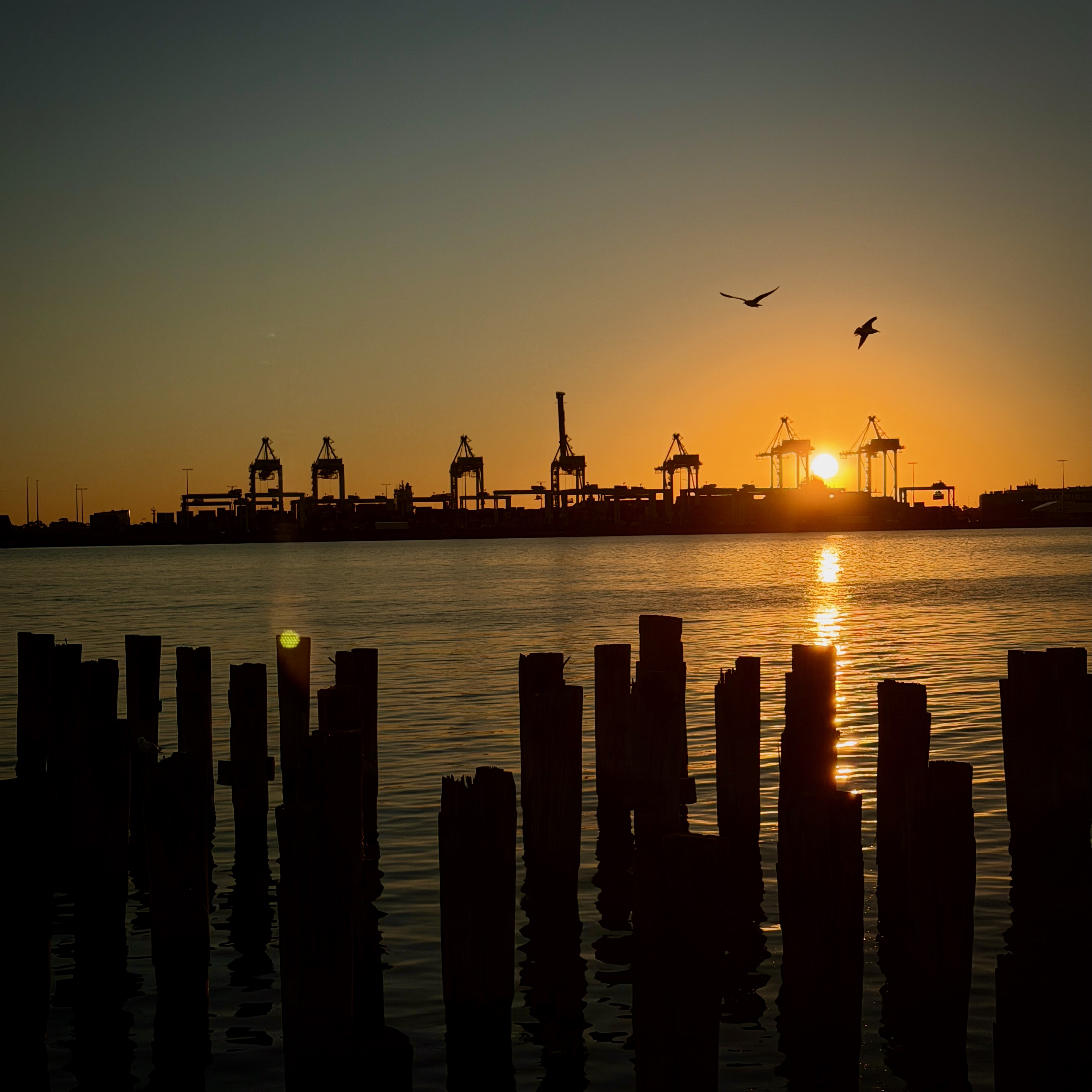 Sunset on the port
